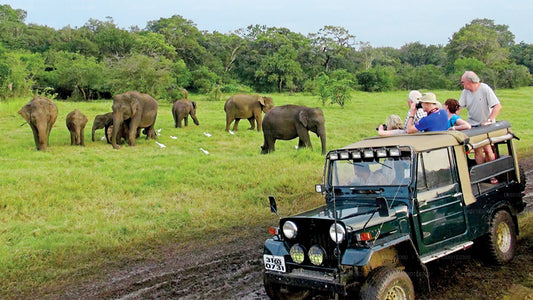 Safari dans le parc national de Bundala au départ de Koggala