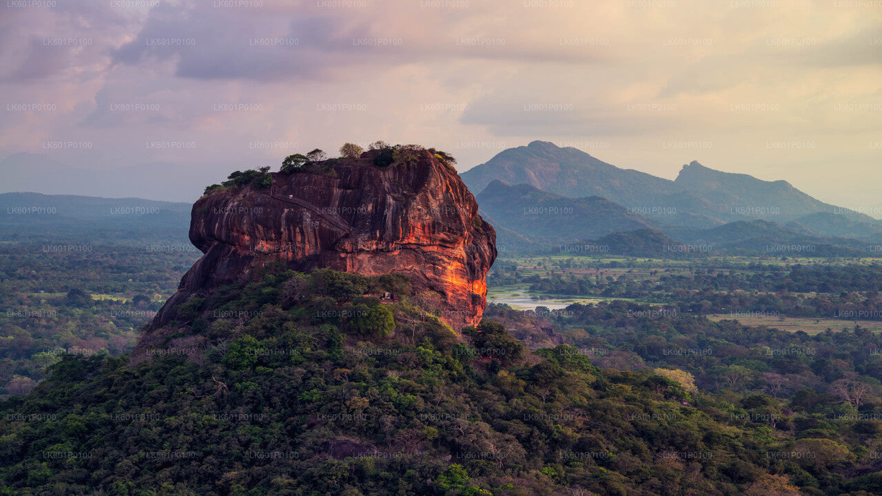 Sigiriya et Dambulla depuis Negombo