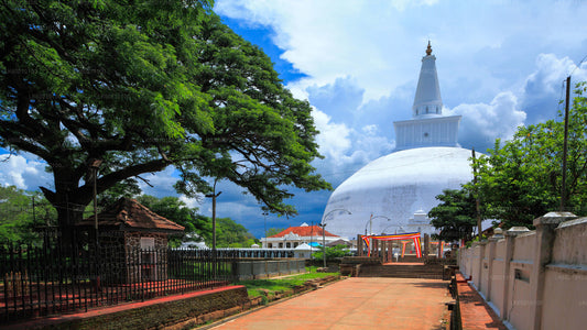 Cité sacrée d'Anuradhapura depuis Sigiriya