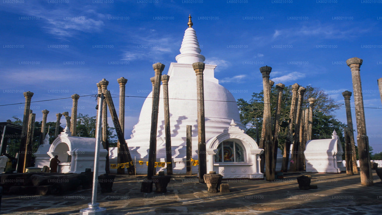 Cité sacrée d'Anuradhapura depuis Sigiriya