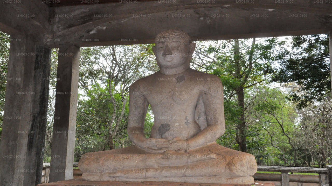 Cité sacrée d'Anuradhapura depuis Sigiriya