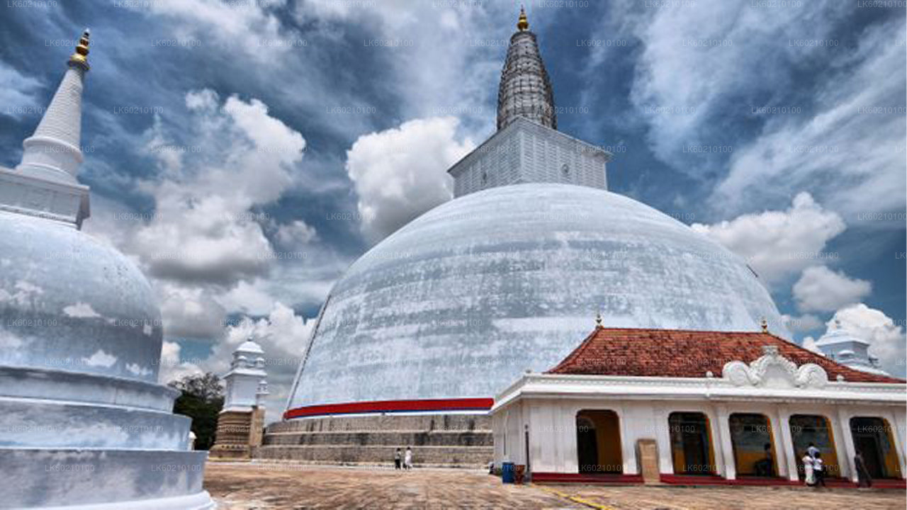 Cité sacrée d'Anuradhapura depuis Sigiriya