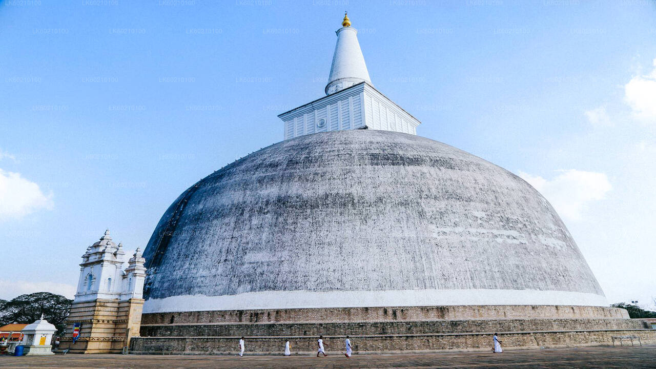 Cité sacrée d'Anuradhapura depuis Sigiriya