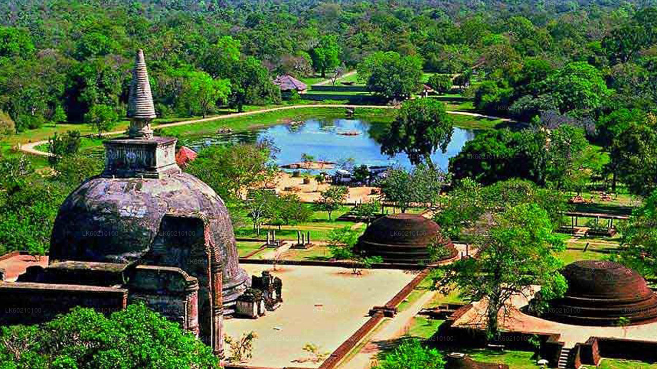 Cité sacrée d'Anuradhapura depuis Sigiriya