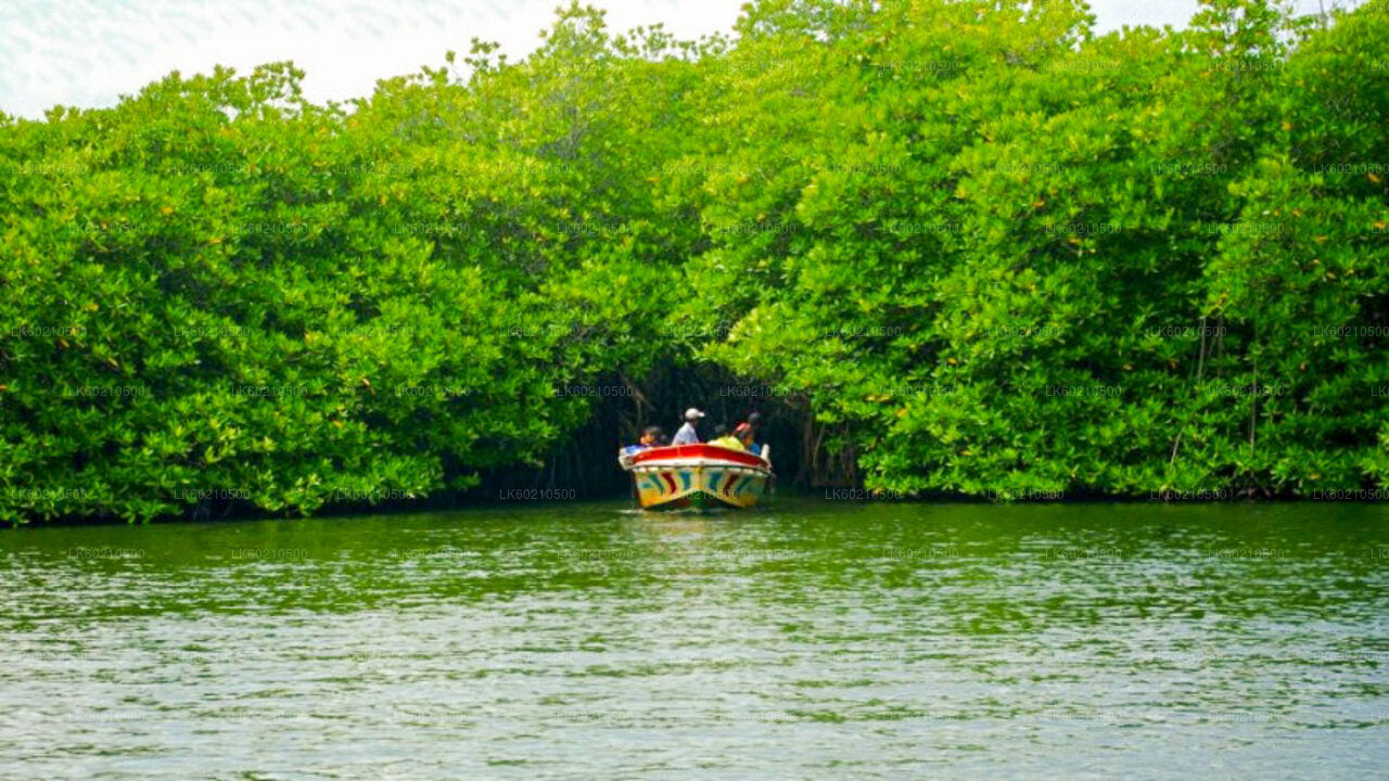 Visite de la ville de Bentota au départ de Tangalle