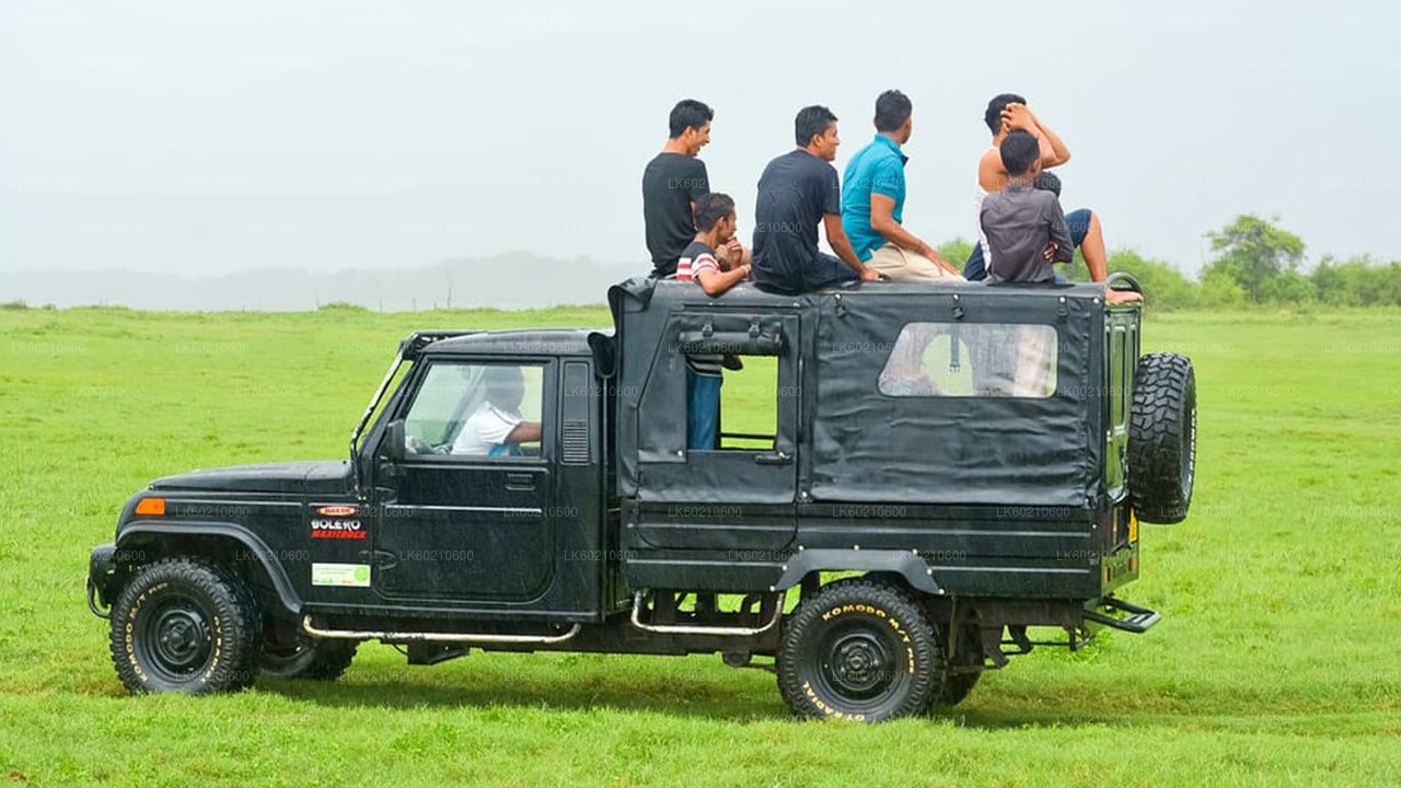 Safari dans le parc national du Bundala depuis Tangalle