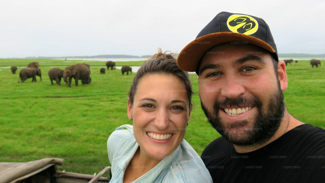 Safari dans le parc national du Bundala depuis Tangalle