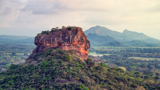 Safari sur le rocher de Sigiriya et les éléphants sauvages au départ de Pasikuda