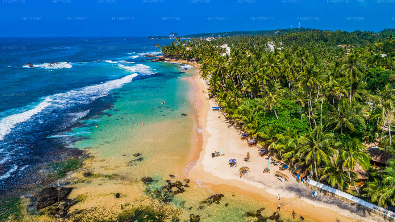 Points forts de la côte sud depuis Dikwella
