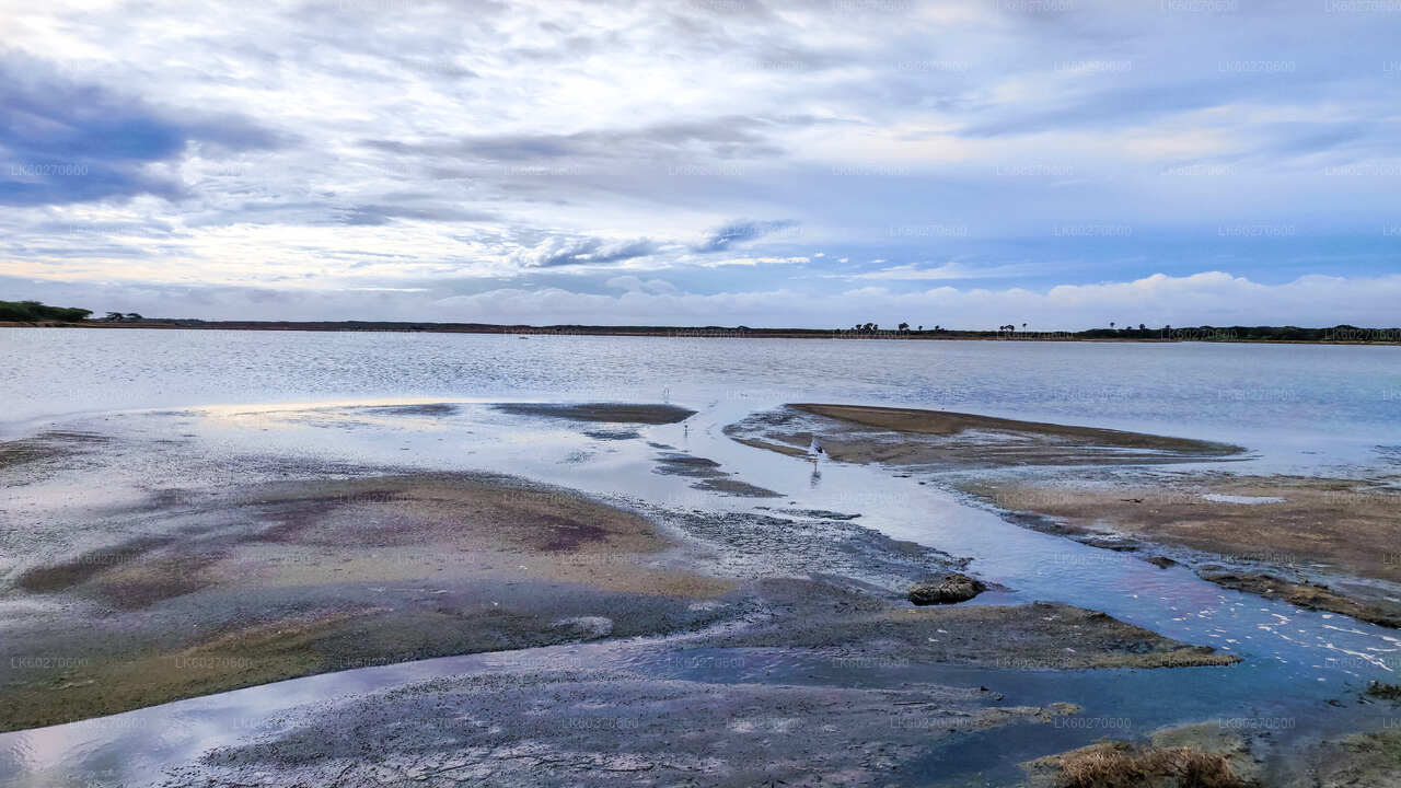 Safari dans le parc national de Bundala au départ de Dikwella