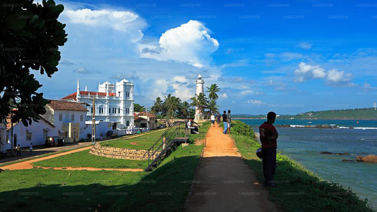 Points forts de la côte sud de la ville de Weligama