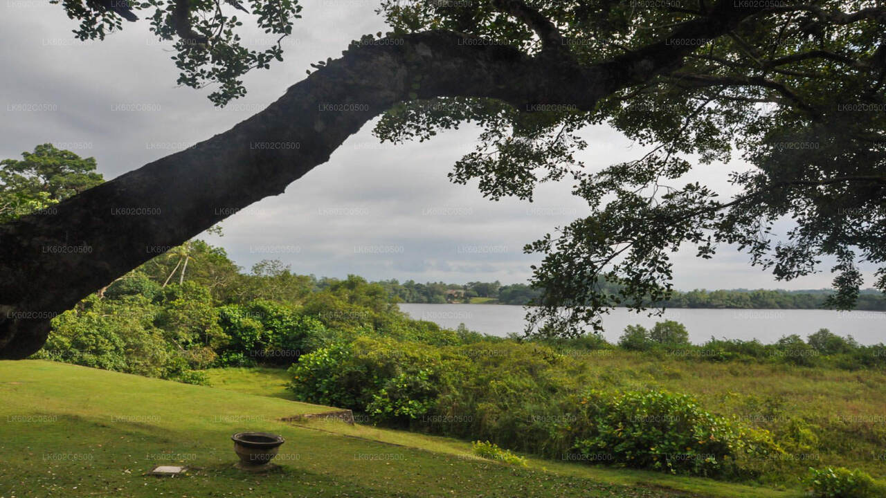 Visite de la ville de Bentota au départ de Weligama