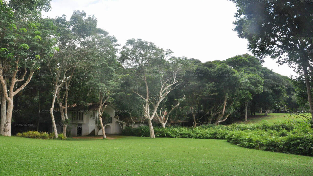 Excursion à Bentota au départ de Mirissa