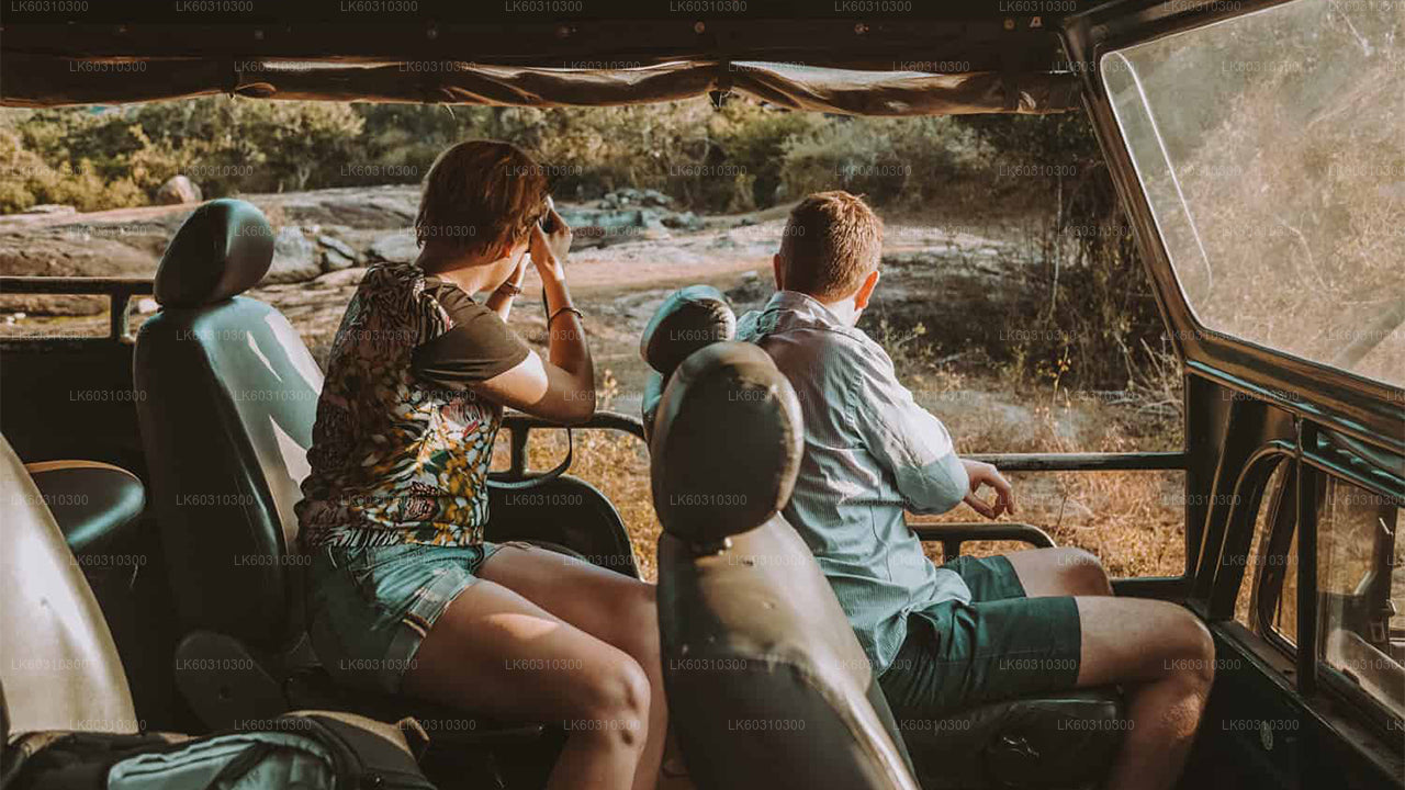 Safari au parc national de Yala depuis Ahangama