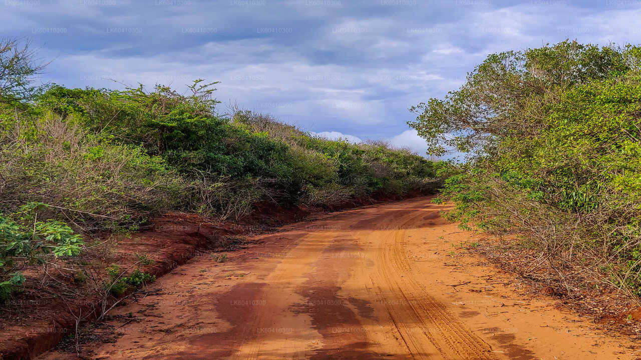 Safari dans le parc national du Bundala depuis Unawatuna