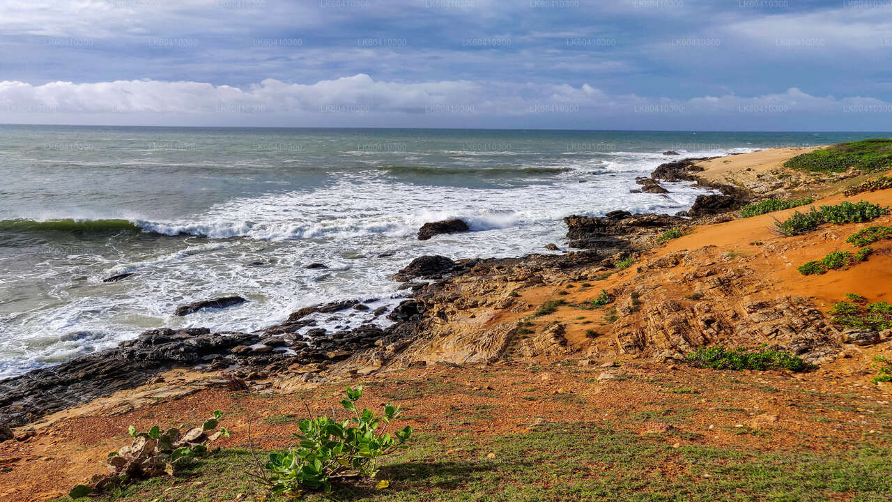 Safari dans le parc national du Bundala depuis Unawatuna