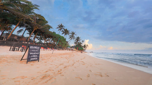 Points forts de la côte sud d'Unawatuna