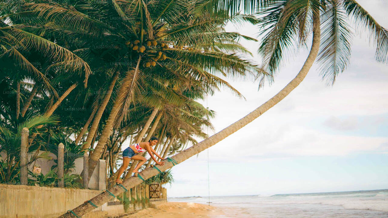 Points forts de la côte sud d'Unawatuna