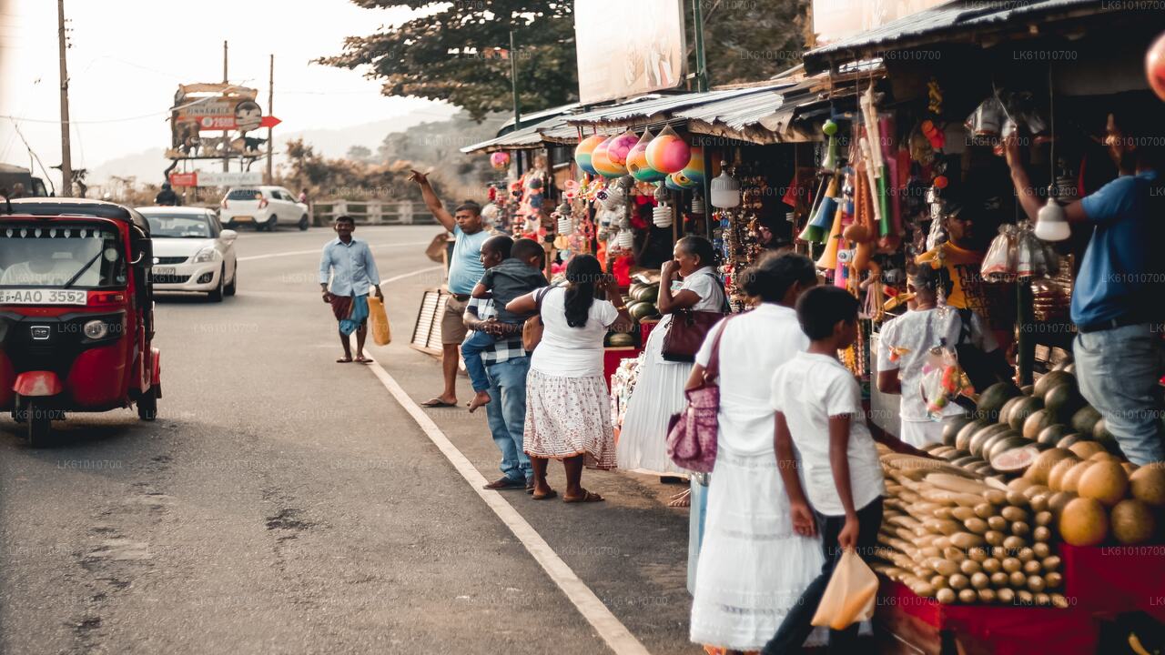 Promenade dans la ville de Colombo avec un habitant