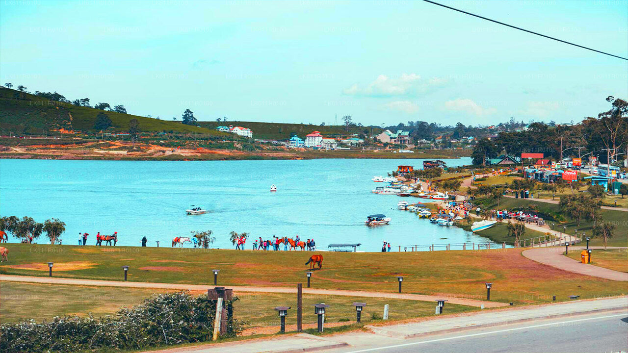 Visite de la ville de Nuwara Eliya