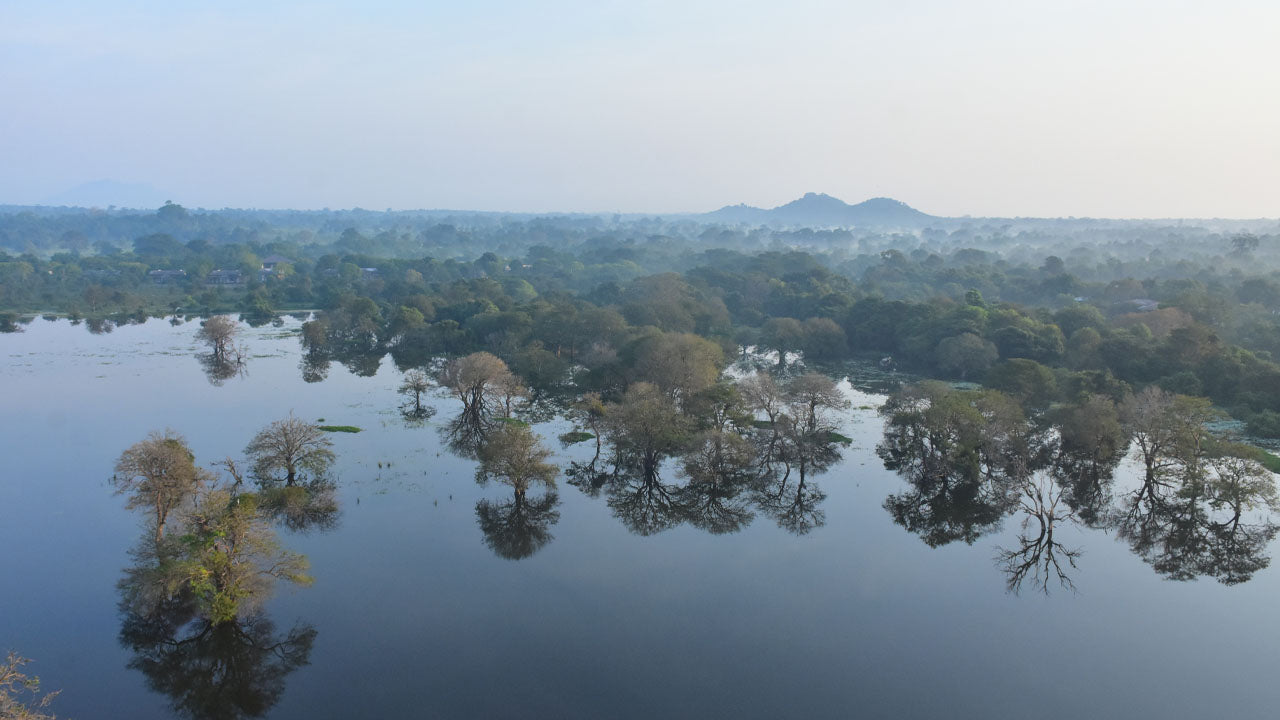 Excursion en montgolfière au départ de Kandalama