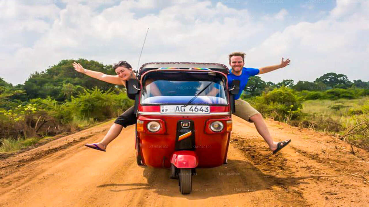 Safari en tuk-tuk sur la côte sud au départ de Galle
