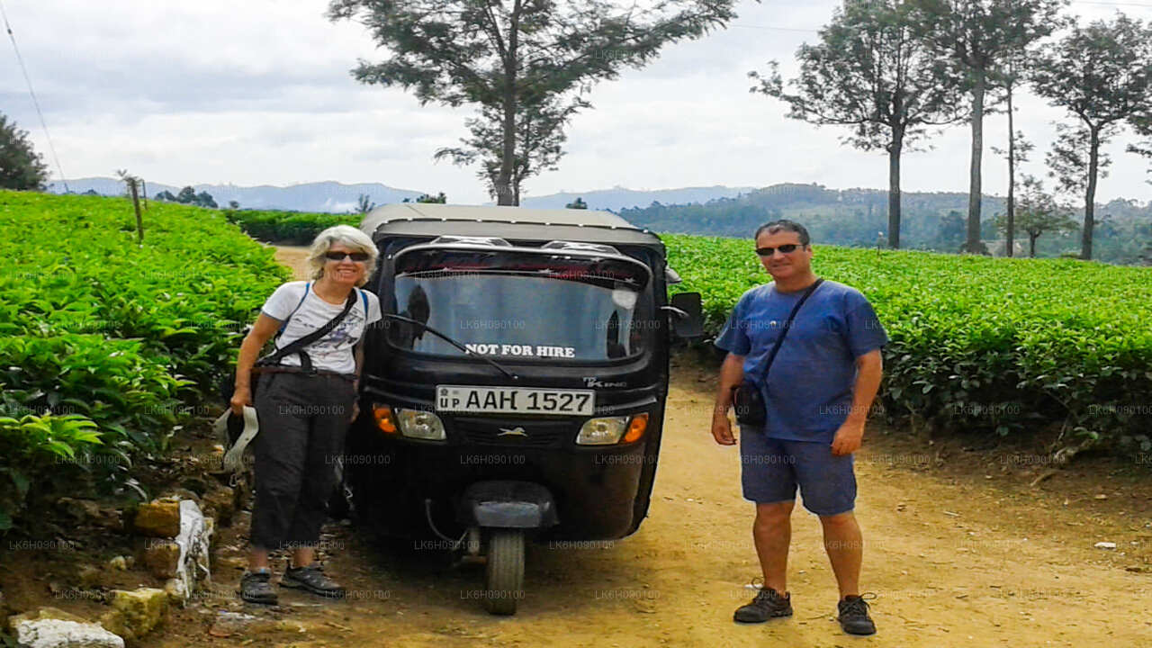 Aventure en tuk-tuk d'Ella