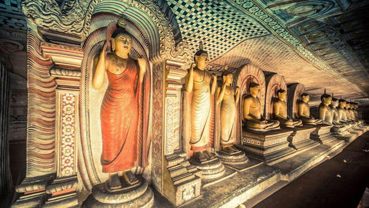 Visite guidée du temple rupestre de Dambulla (billets inclus)