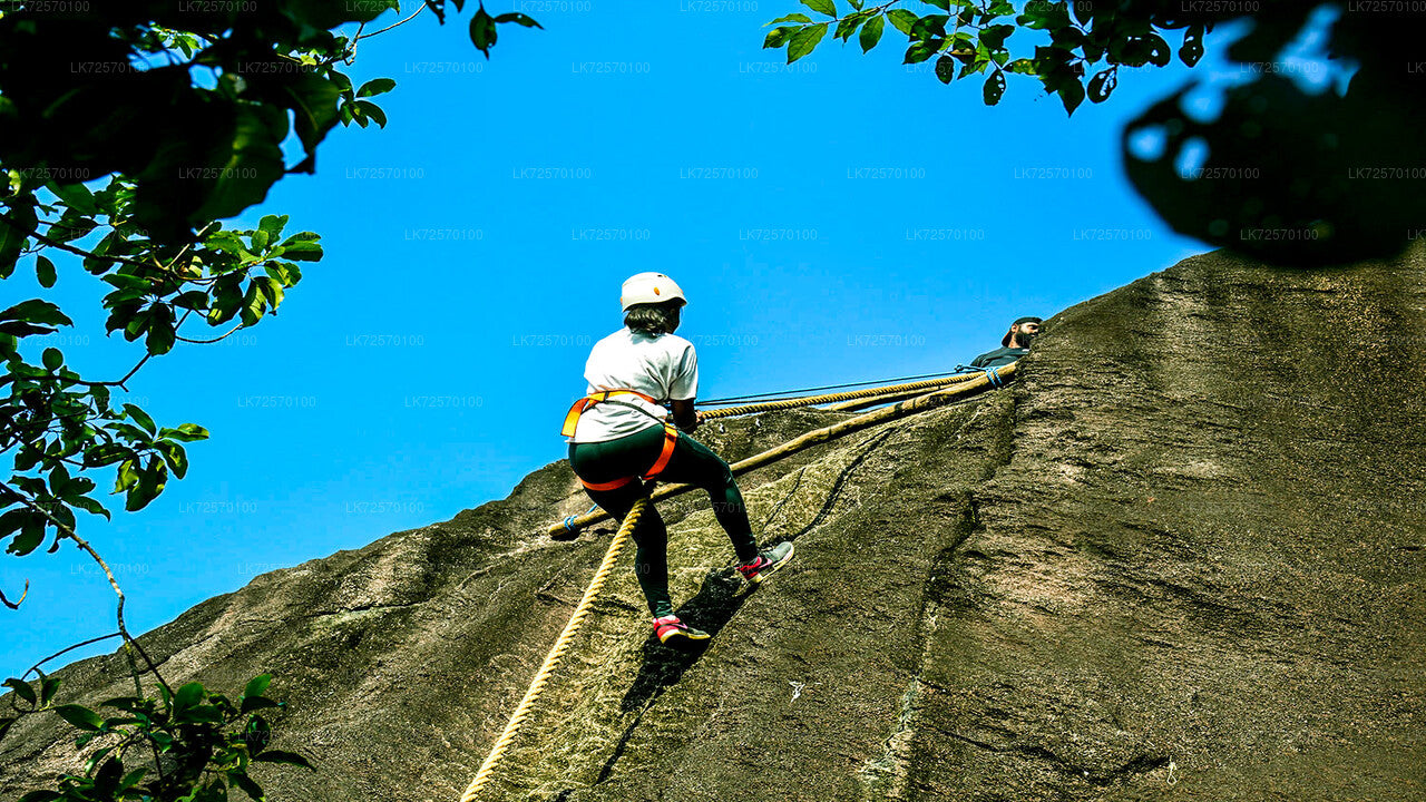 Escalade en forêt depuis Horana