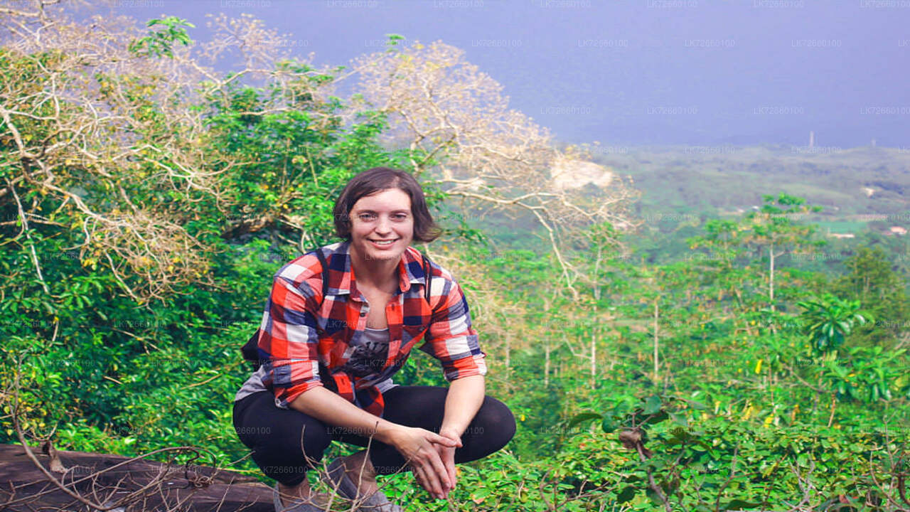 Escalade en forêt depuis le mont Lavinia