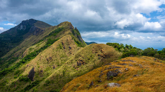 Randonnée à Kehelpothdoruwegala au départ de Kandy