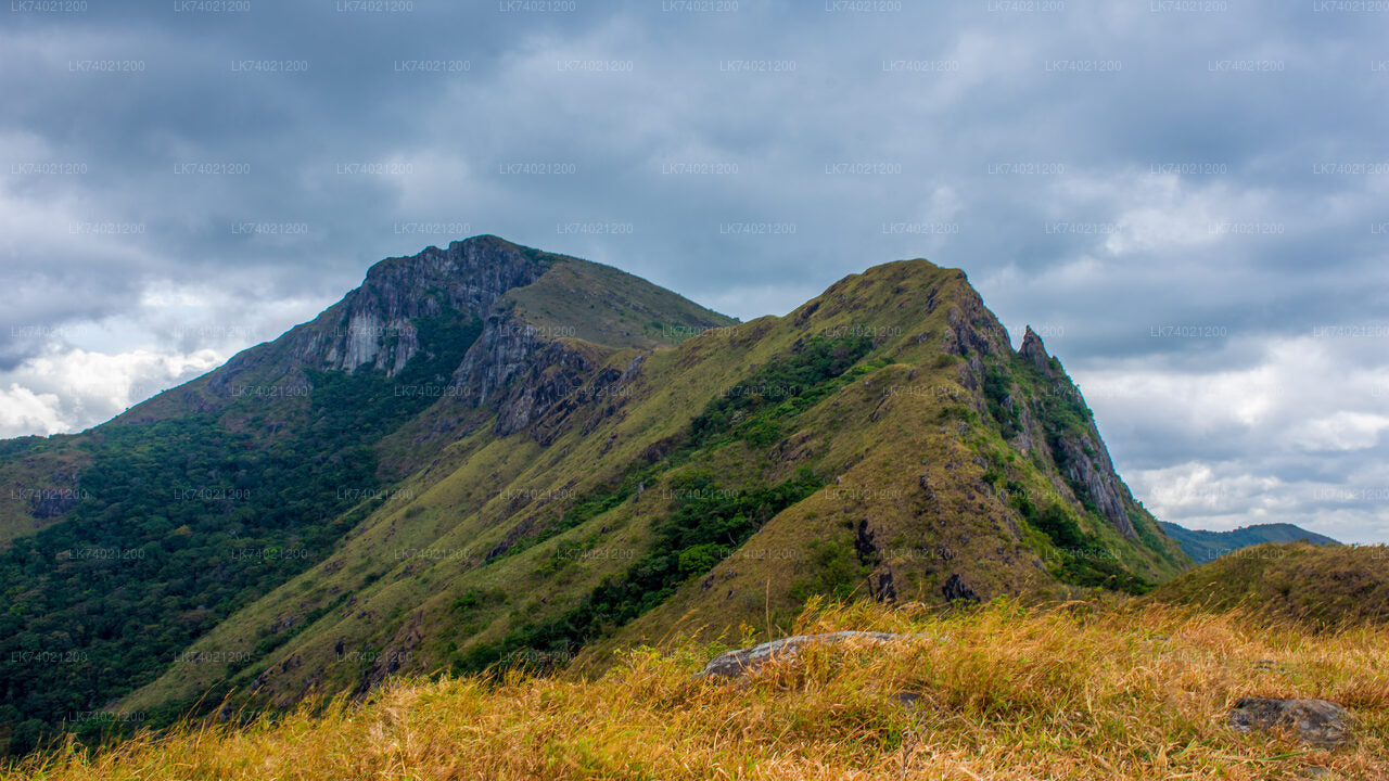 Randonnée à Kehelpothdoruwegala au départ de Kandy