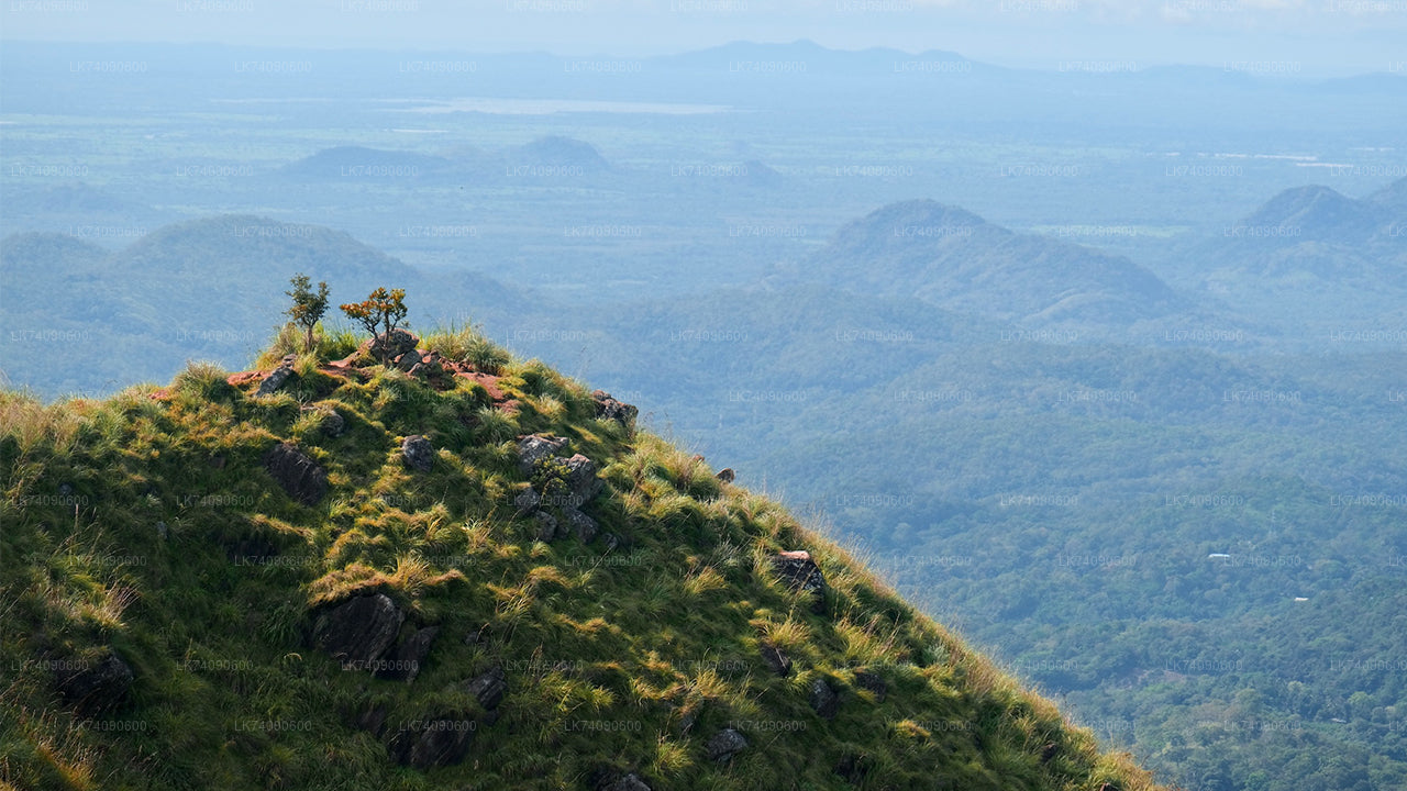 Randonnée à Ella : trois icônes depuis Ella
