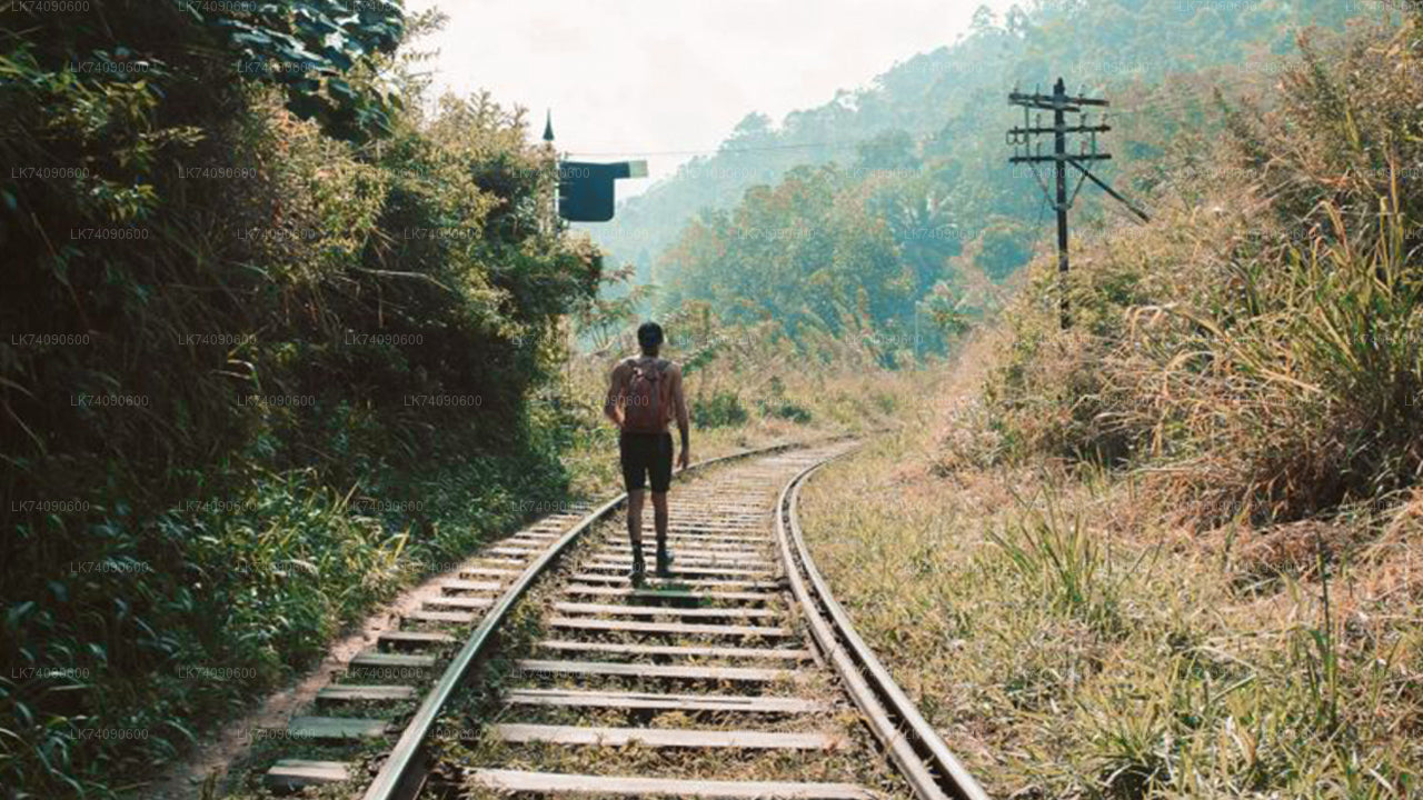 Randonnée à Ella : trois icônes depuis Ella