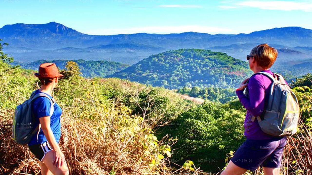 Randonnée jusqu'à Bible Rock depuis Kegalle