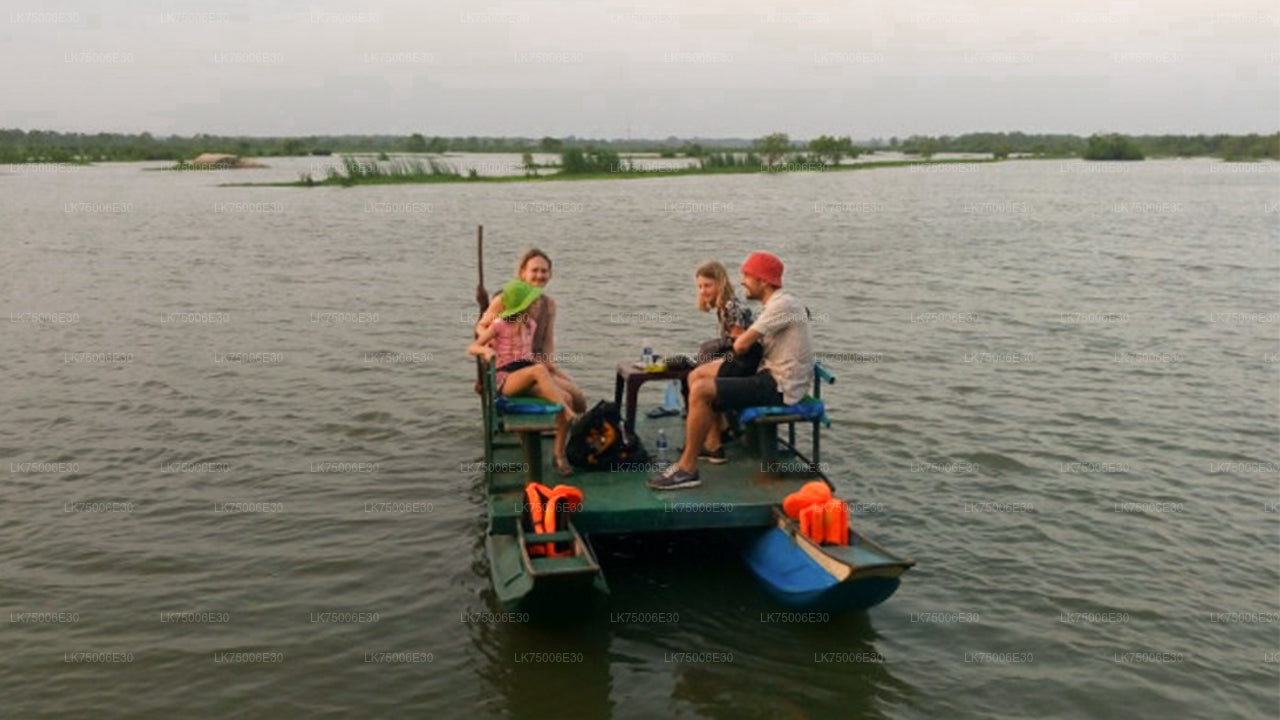 Observation des oiseaux en bateau au sanctuaire de Kalametiya depuis Tangalle
