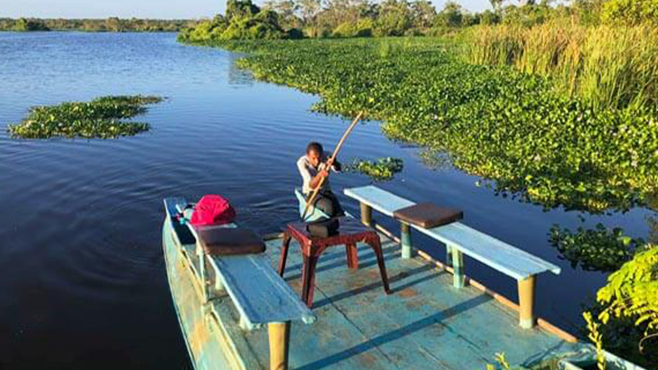 Observation des oiseaux en bateau au sanctuaire de Kalametiya depuis Tangalle
