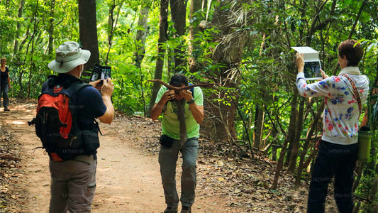 Observation des oiseaux dans la réserve forestière d'Udawatta Kele