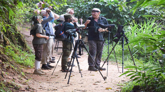 Observation des oiseaux à Kitulgala depuis le mont Lavinia