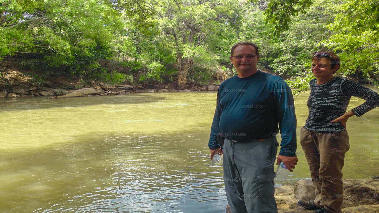 Safari ornithologique au parc national d'Udawalawe depuis le mont Lavinia