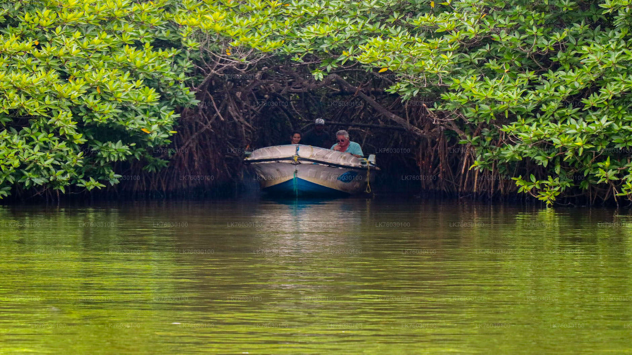 Safari en bateau sur la rivière Madu