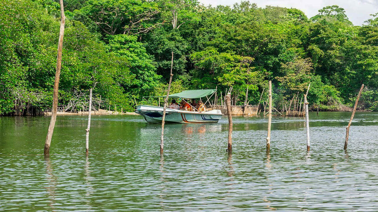 Safari en bateau sur la rivière Madu