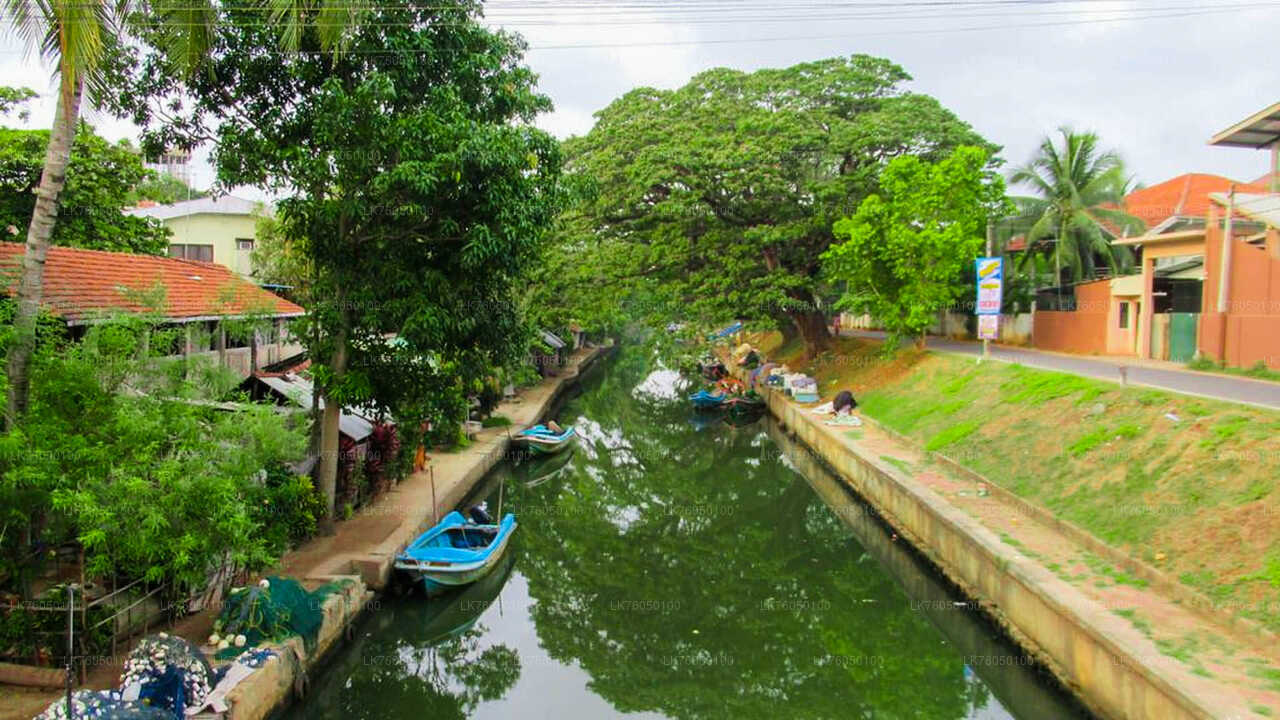 Excursion en bateau sur les canaux néerlandais au départ de Negombo