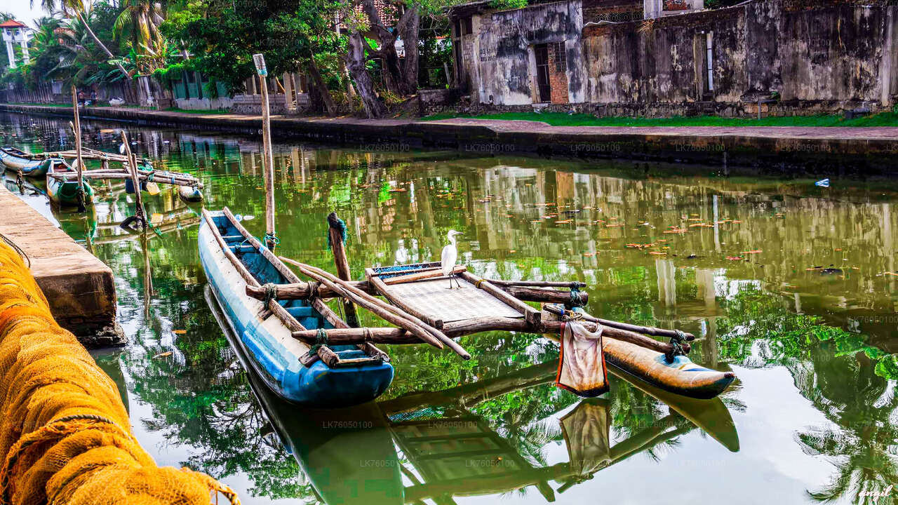 Excursion en bateau sur les canaux néerlandais au départ de Negombo