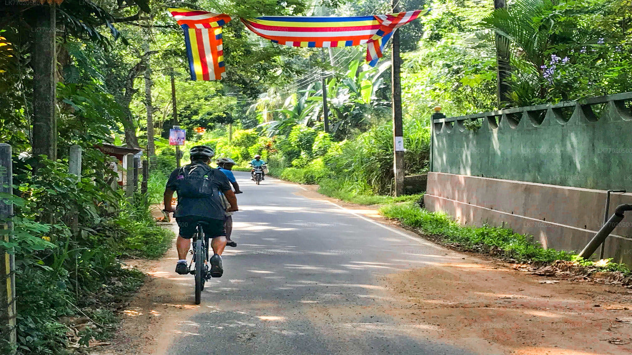 Excursion à vélo de 3 temples Loop au départ de Kandy