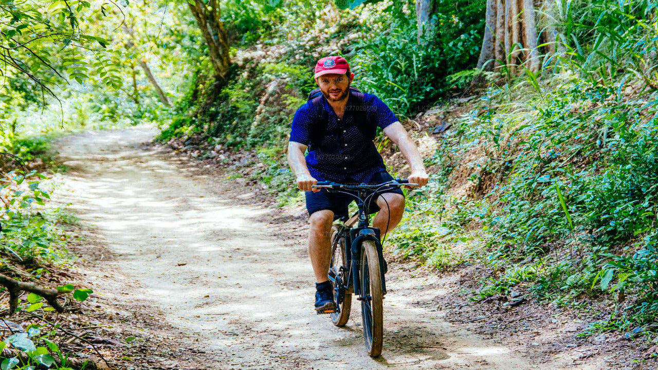 Excursion à vélo de 3 temples Loop au départ de Kandy