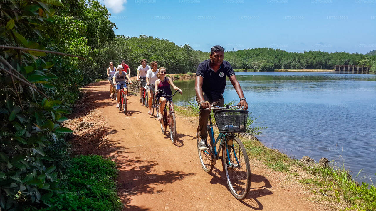 Découverte de la campagne à vélo depuis Galle
