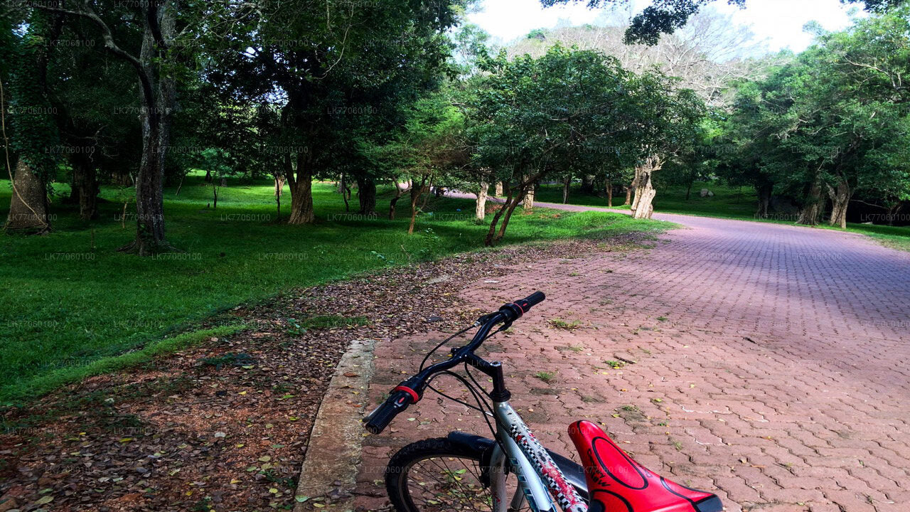 À vélo depuis Anuradhapura