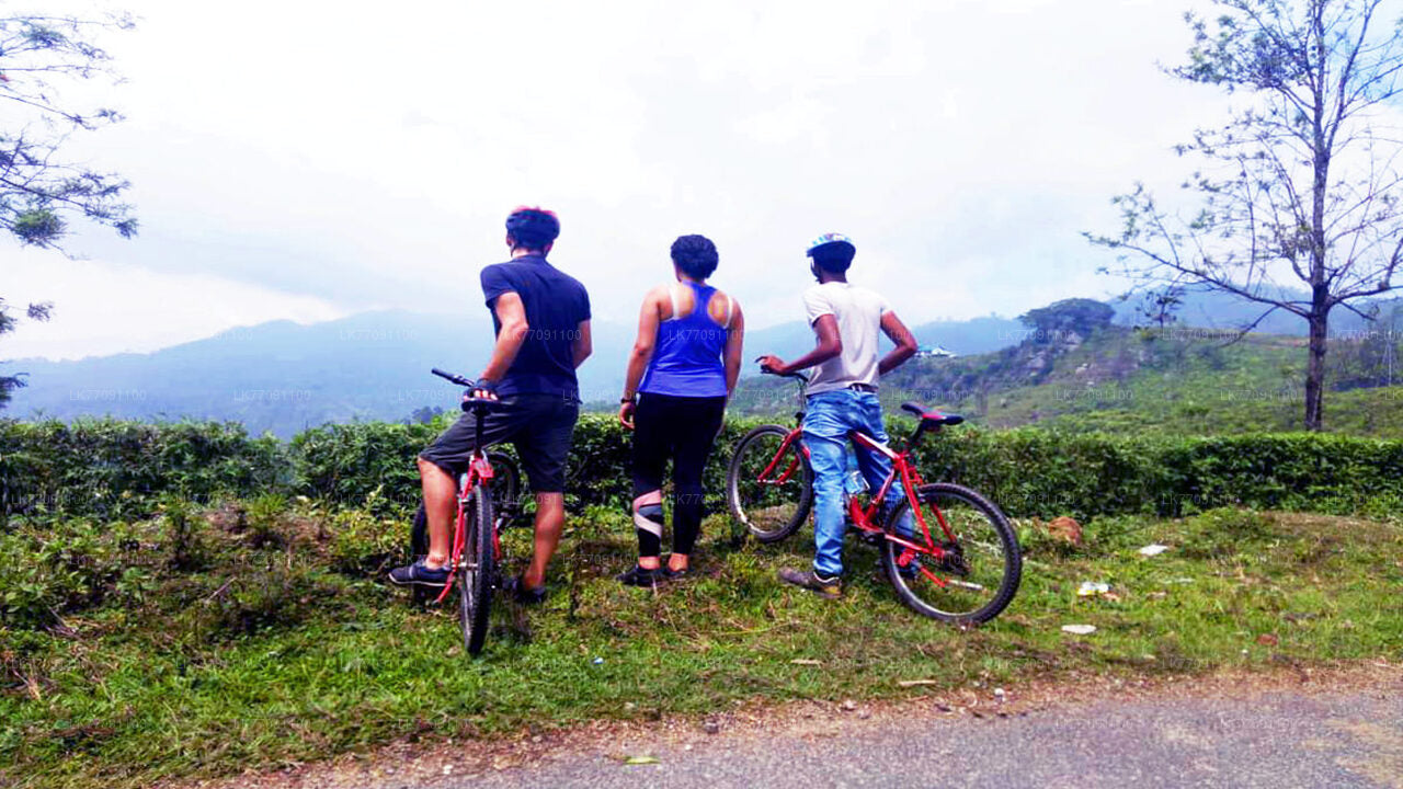 Le vélo d'aventure au départ d'Ella