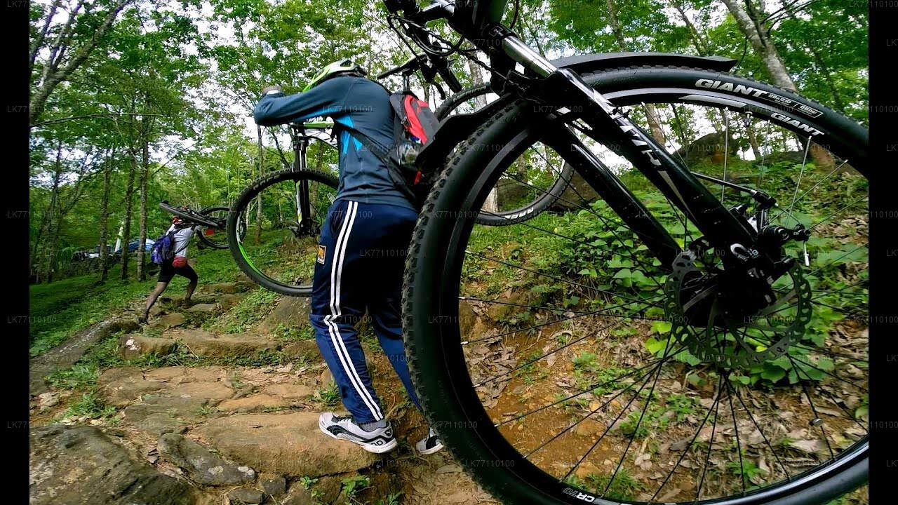 Cyclisme depuis Hikkaduwa